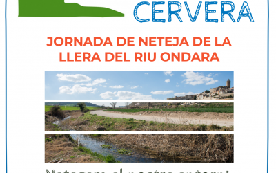 Let’s clean up Europe – Cervera educational centers