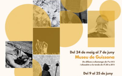 The Cervera Museum is once again hosting the exhibition “LOOK!”