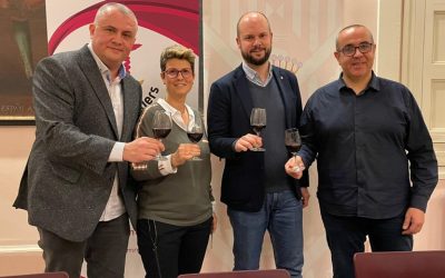 Cervera will host the Best Sommelier of Catalonia competition 2024